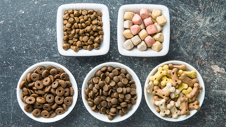 5 receitas de petiscos naturais para cães e gatos | Nutrição